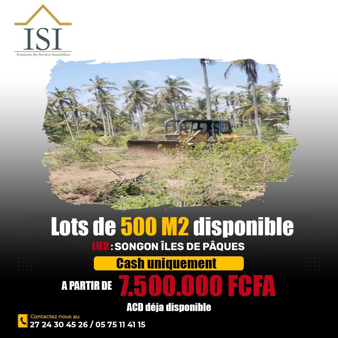 Lots 500 M² en vente a Songon avec ACD